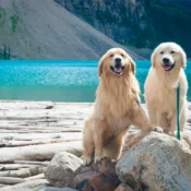 How to Get to Moraine Lake in Summer